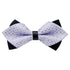 Fashion Wedding Party Feast Fancy Adjustable Bow tie